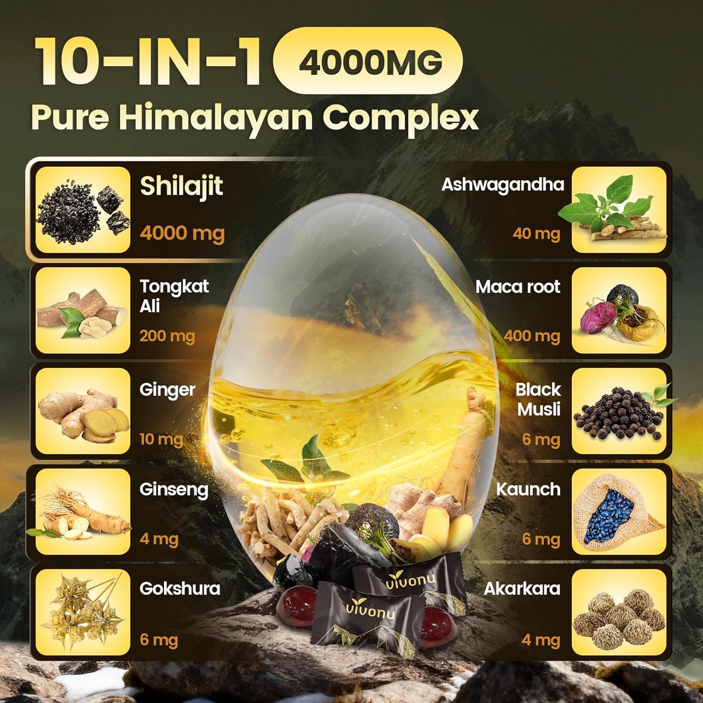 Himalayan Shilajit Gummies Support's Kidneys